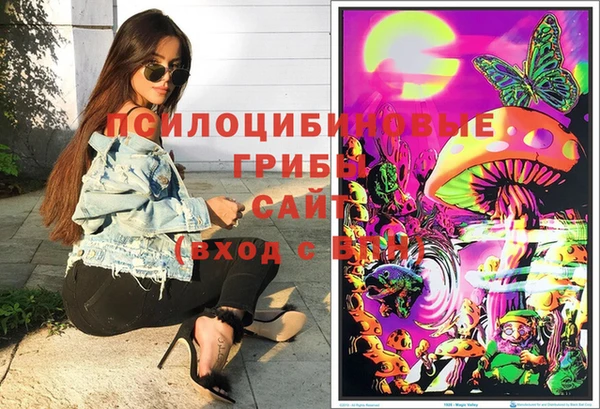 стаф Краснослободск